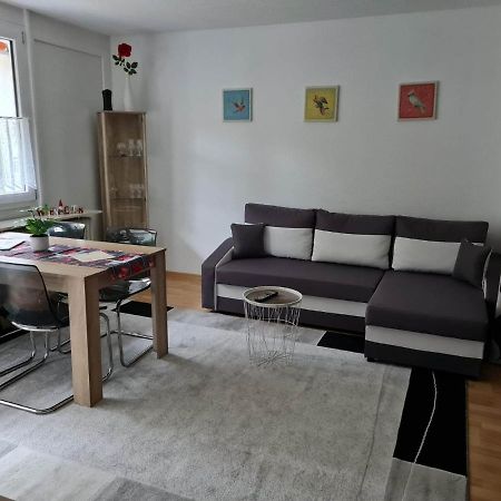 Appartement Haus Enere Au Fewo Antonia Und Fewo Milan à Todtmoos Extérieur photo